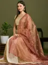 Copper Sequinned Shimmer Tissue Silk Dupatta